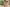 Propagačný banner